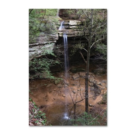 Kurt Shaffer 'Ash Cave Falls In April' Canvas Art,12x19